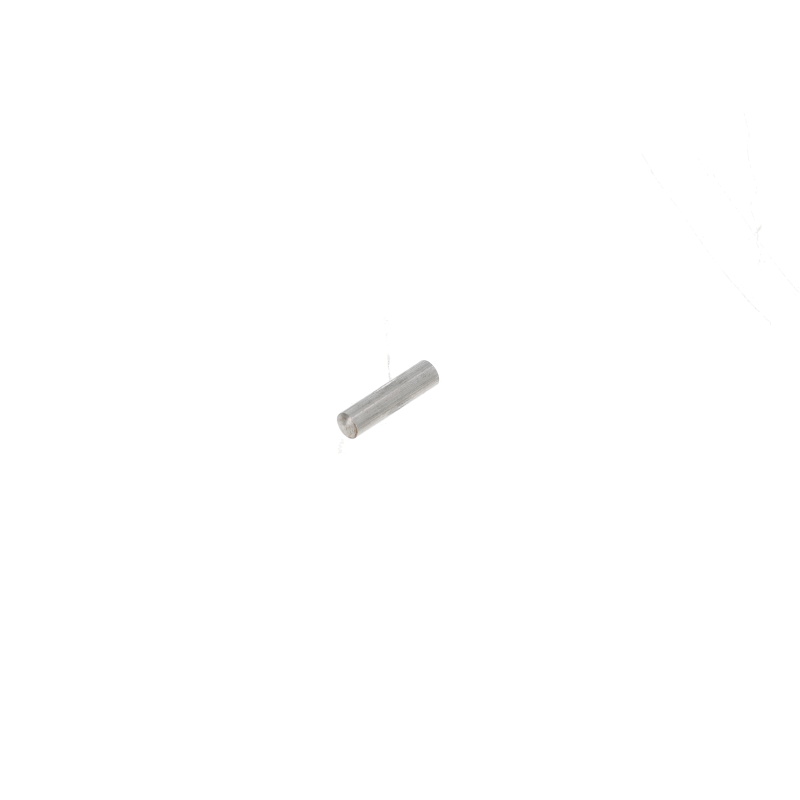 Fendt Passstift