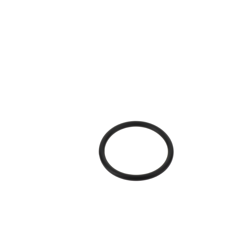 AGCO O-RING