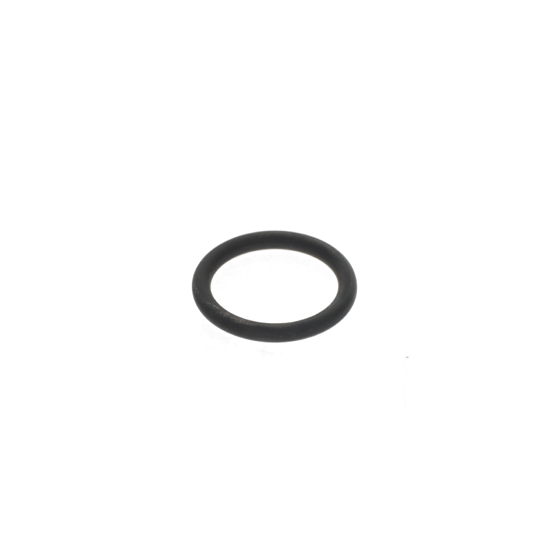 AGCO O-RING