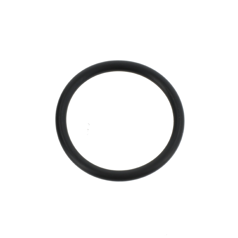 AGCO O-RING