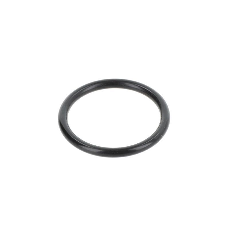 AGCO O-RING