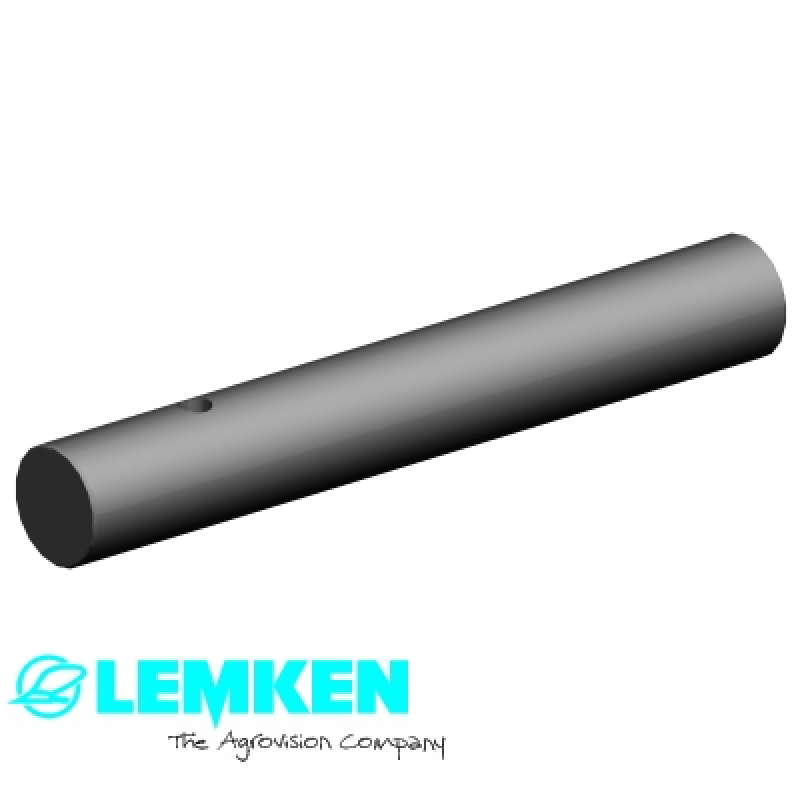 Bolzen D25x173 1xD7