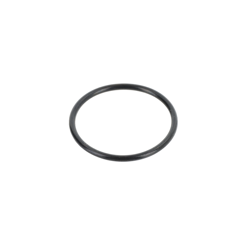 AGCO O-RING