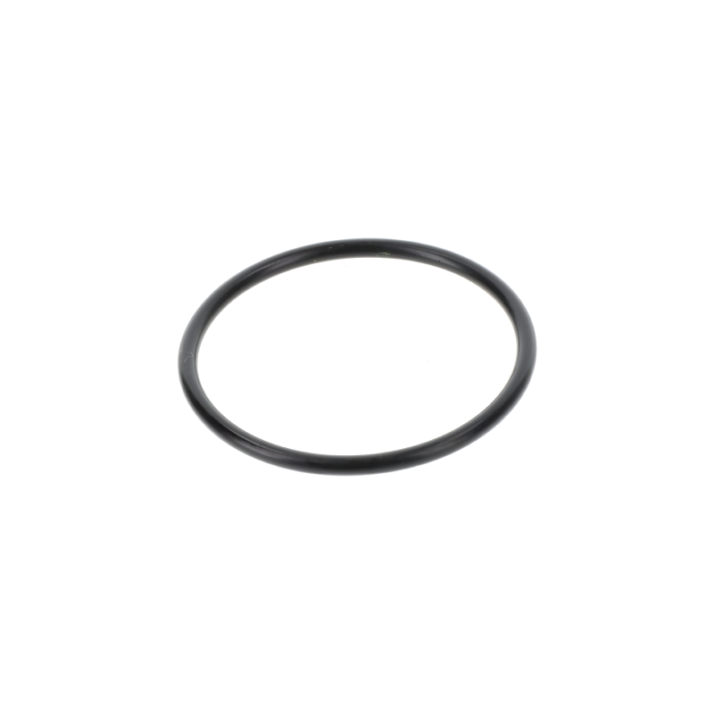 AGCO O-RING