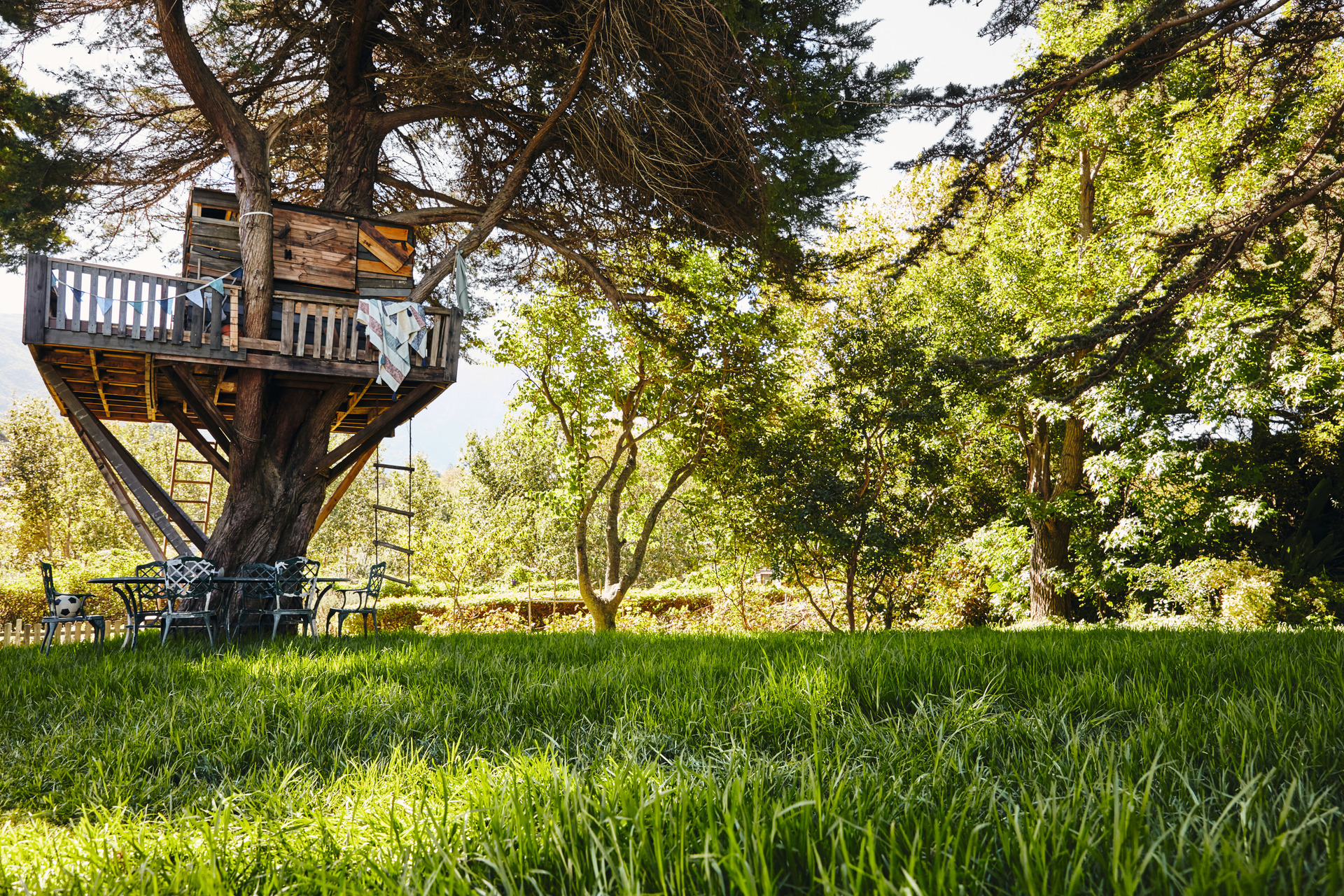 Großer, sonniger Garten mit einem Baumhaus in einem mächtigen Baum, im Vordergrund grüne Wiese mit hohem Gras