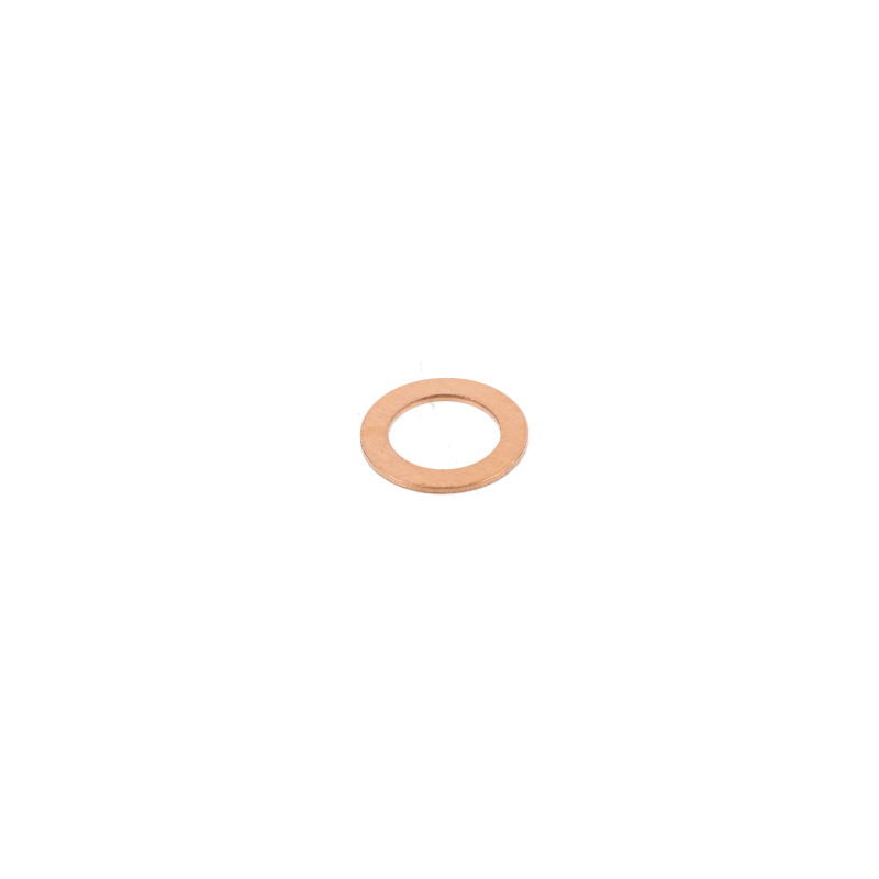 AGCO Dichtring