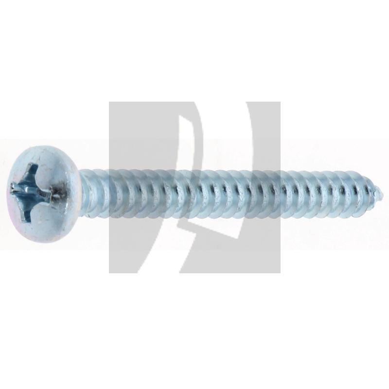 Linsen-Blechschraube 5,5x50 DIN 7981