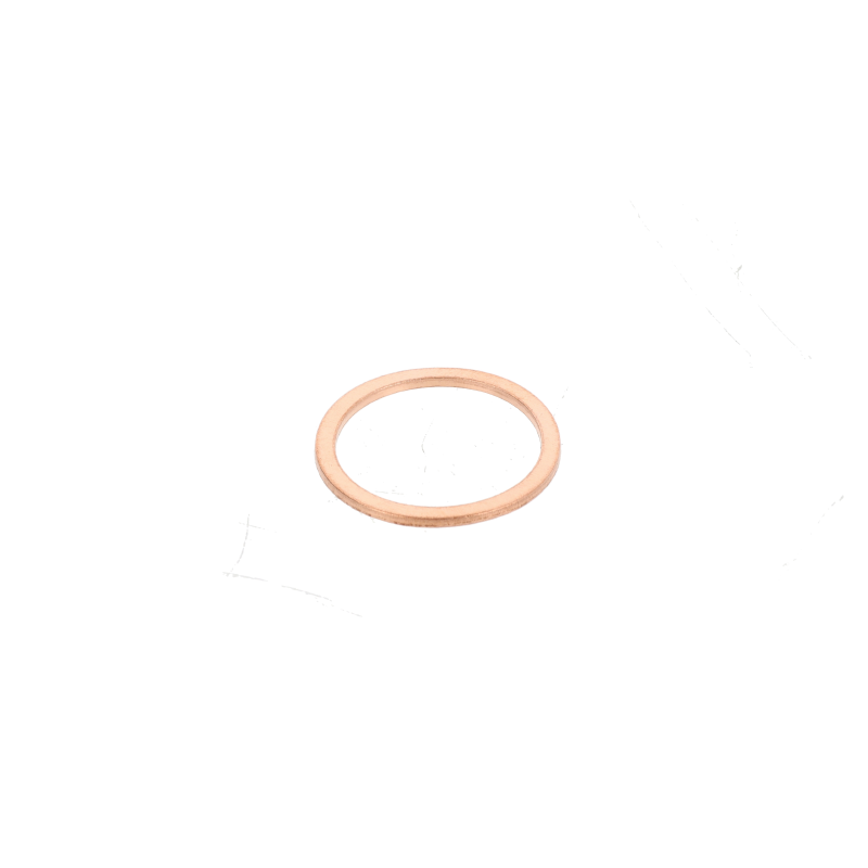 AGCO Dichtring