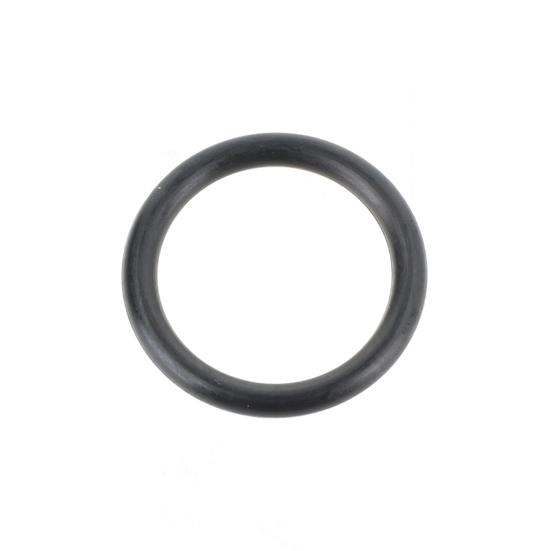 AGCO O-RING