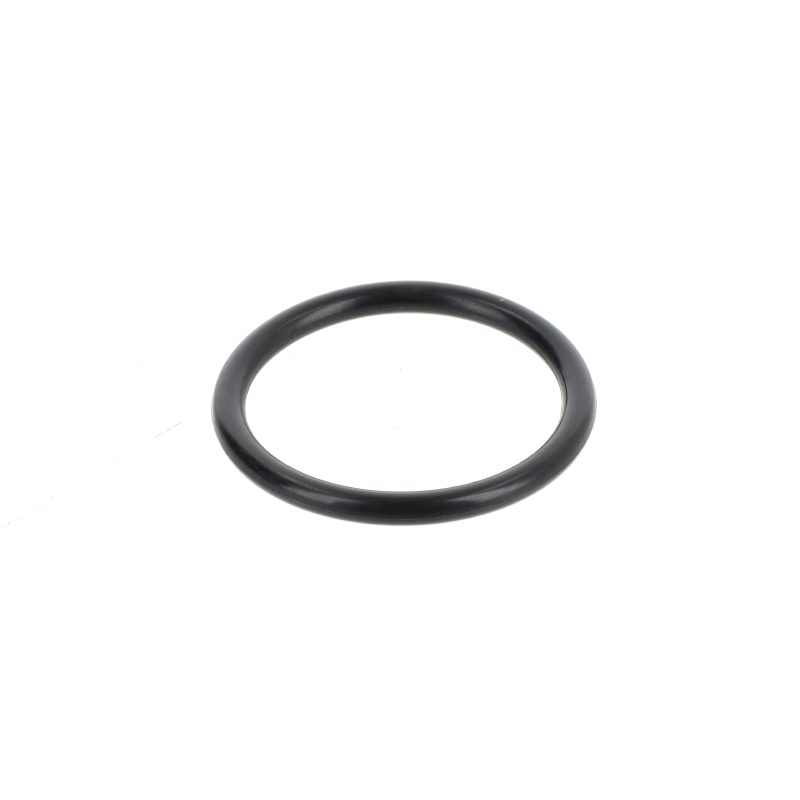 AGCO O-Ring