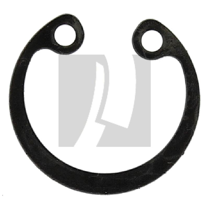 Sicherungsring