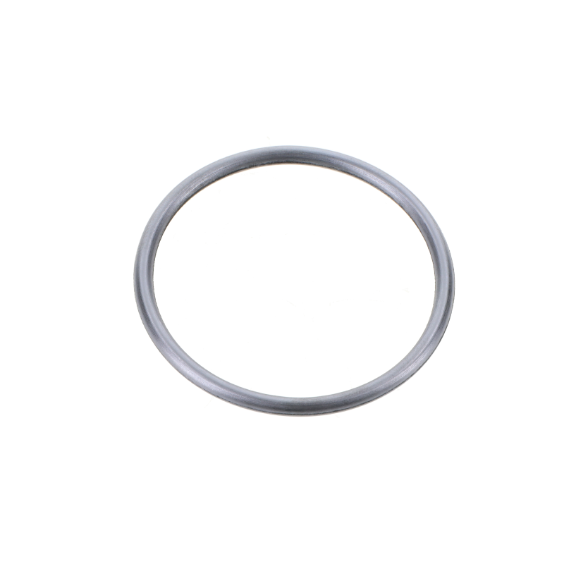 AGCO O-RING