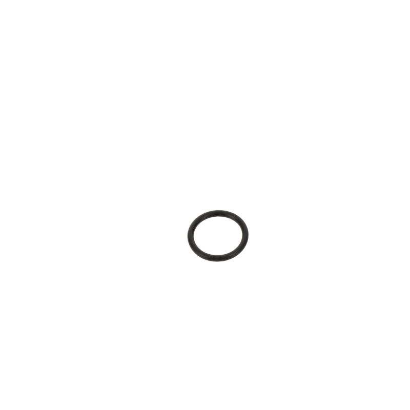 AGCO O-RING