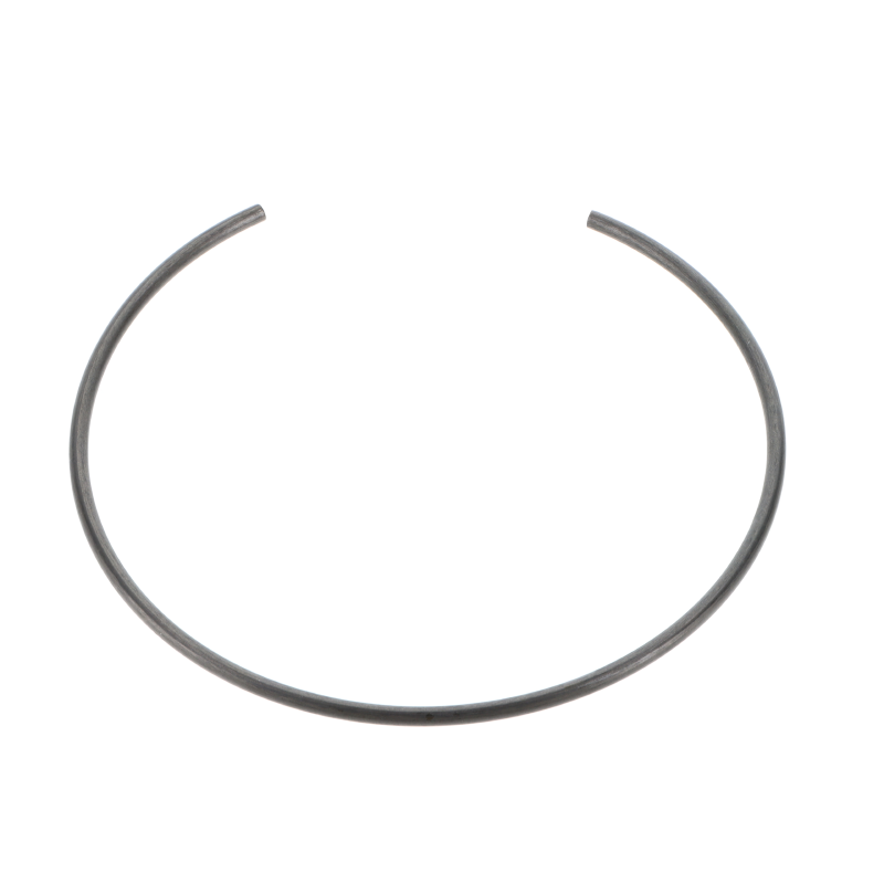 AGCO SICHERUNGSRING
