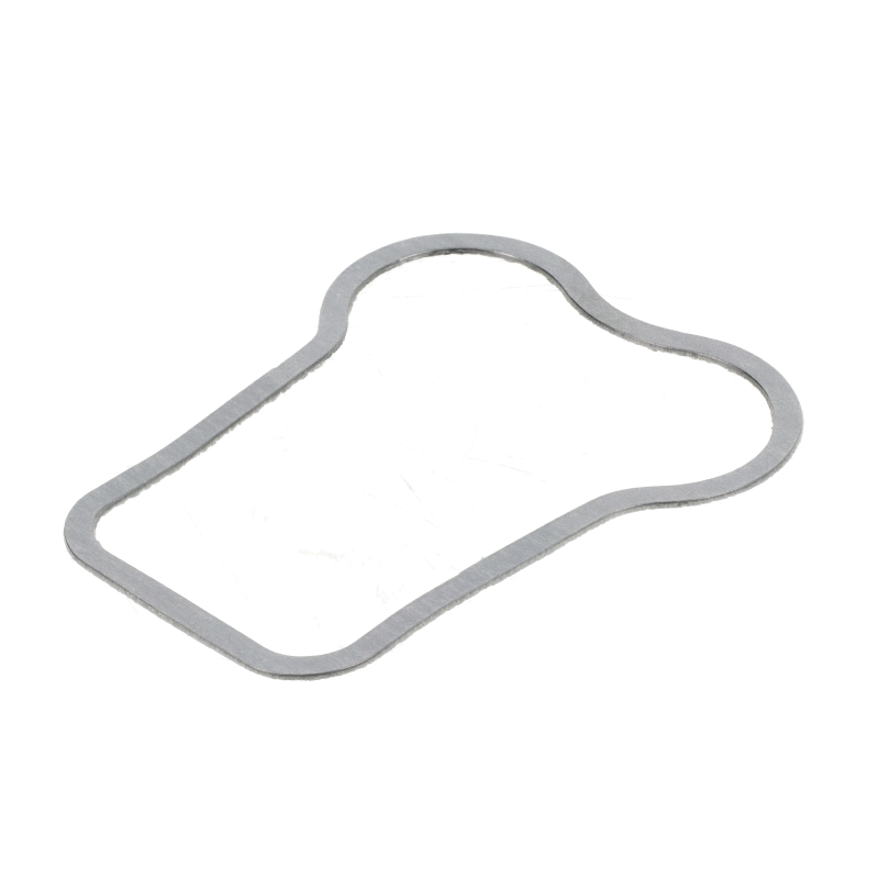 AGCO DICHTUNGSSCHEIBE