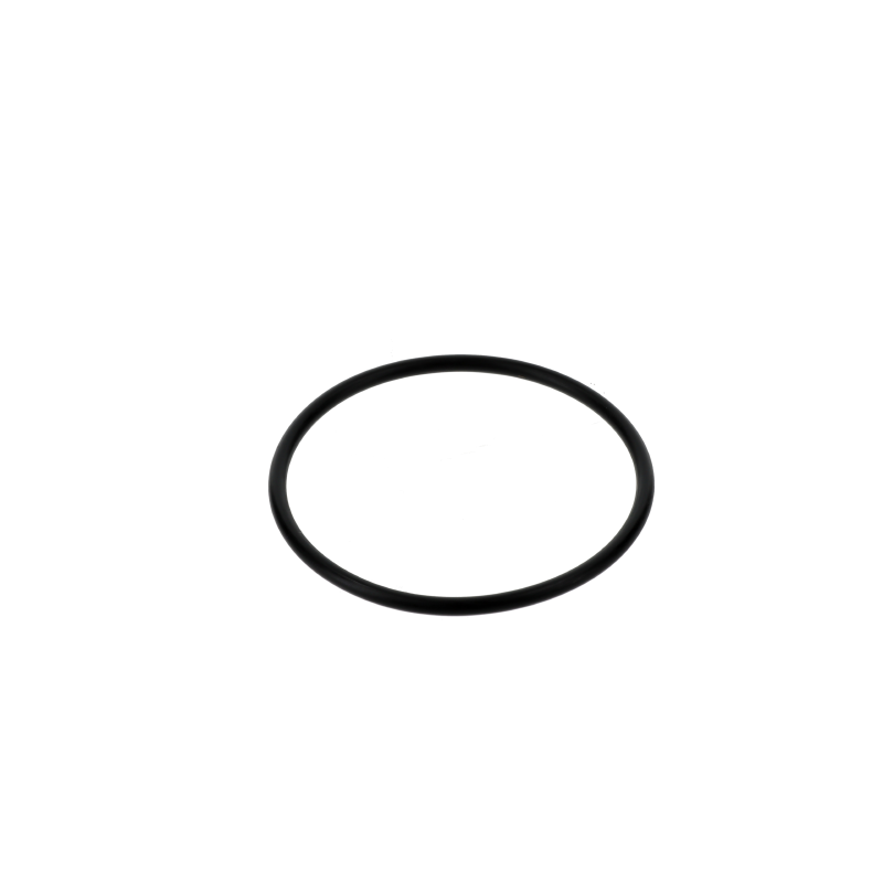 AGCO O-RING
