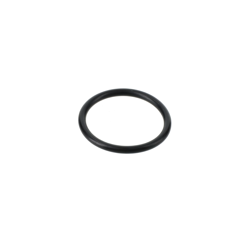 AGCO O-RING