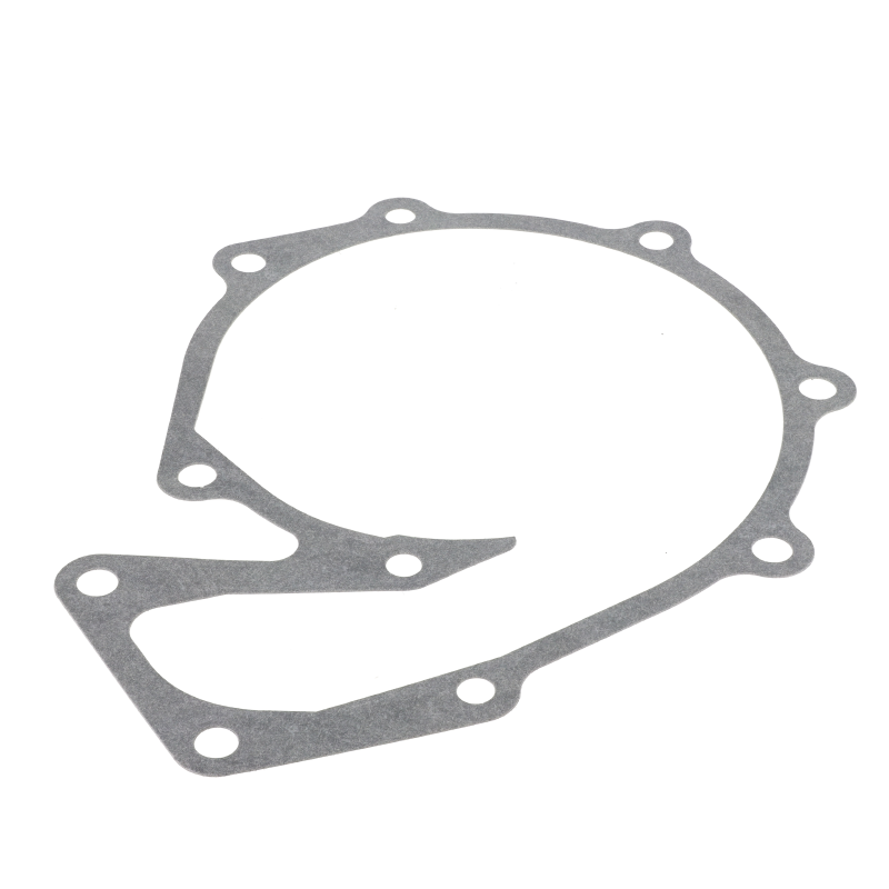 AGCO DICHTUNG