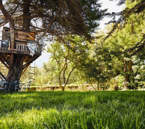 Grüner Garten mit gepflegtem Rasen und einem Baumhaus – idyllische Gartenszene an einem sonnigen Tag.
