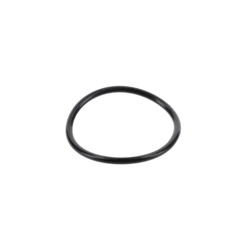AGCO O-RING