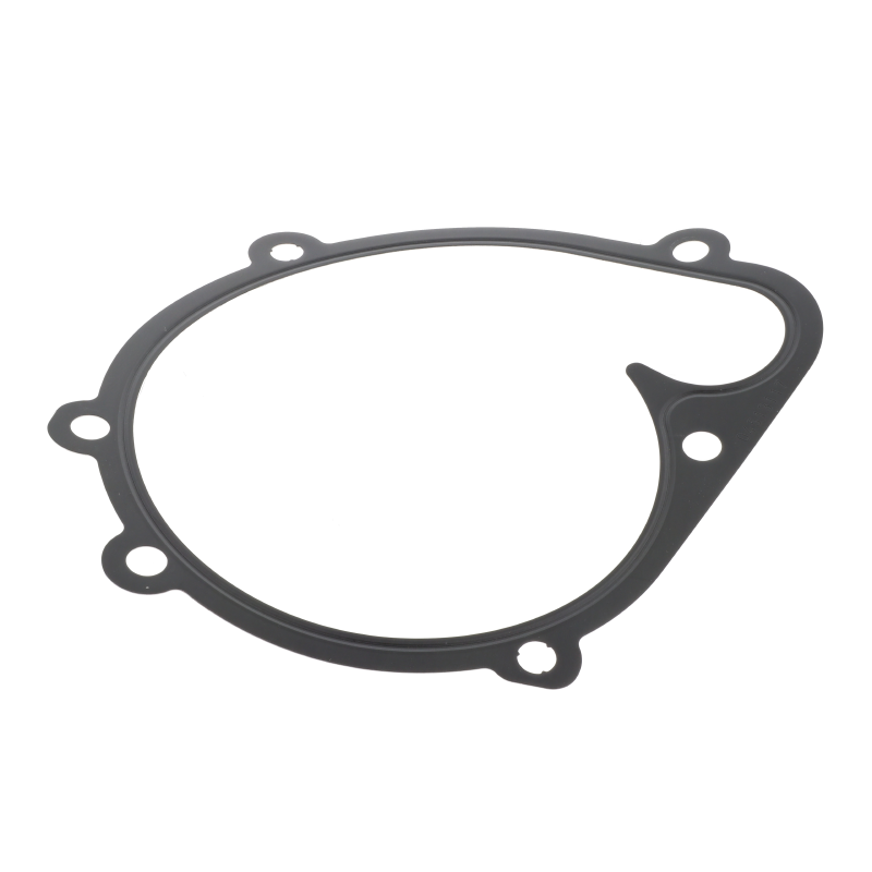 Fendt Dichtungsscheibe