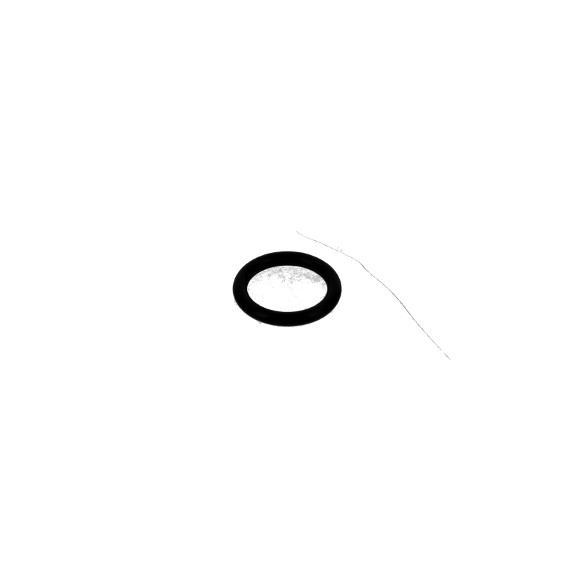 Fendt O-Ring