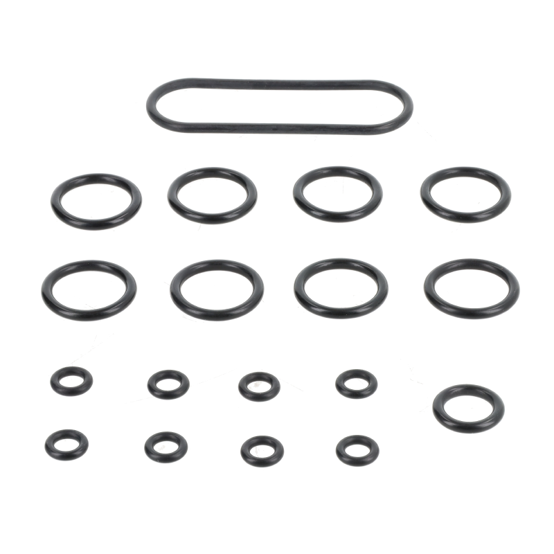 AGCO Dichtungssatz