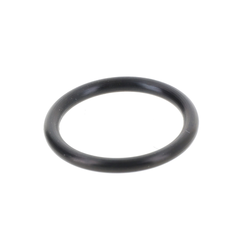 AGCO O-RING