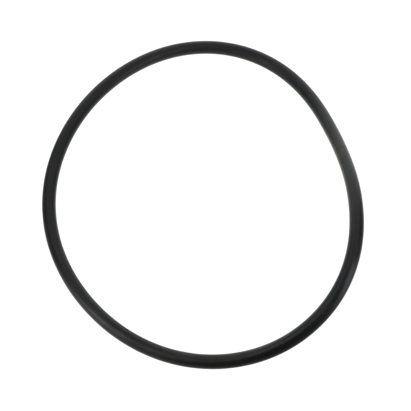 Fendt O-RING
