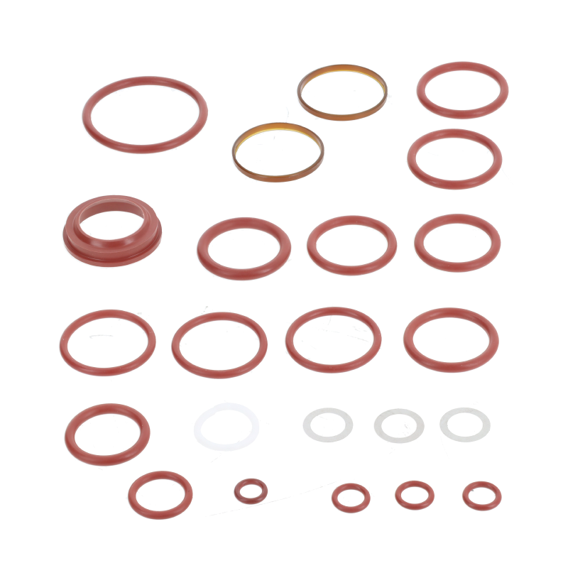 AGCO Dichtungssatz