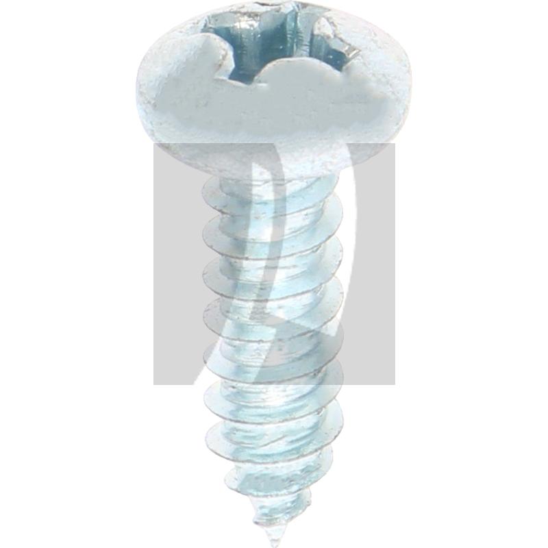 Linsen-Blechschraube 5,5x19 DIN 7981
