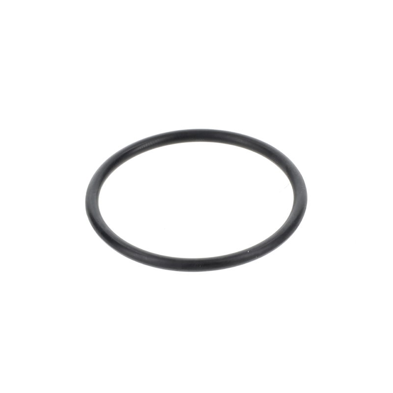 Fendt O-Ring