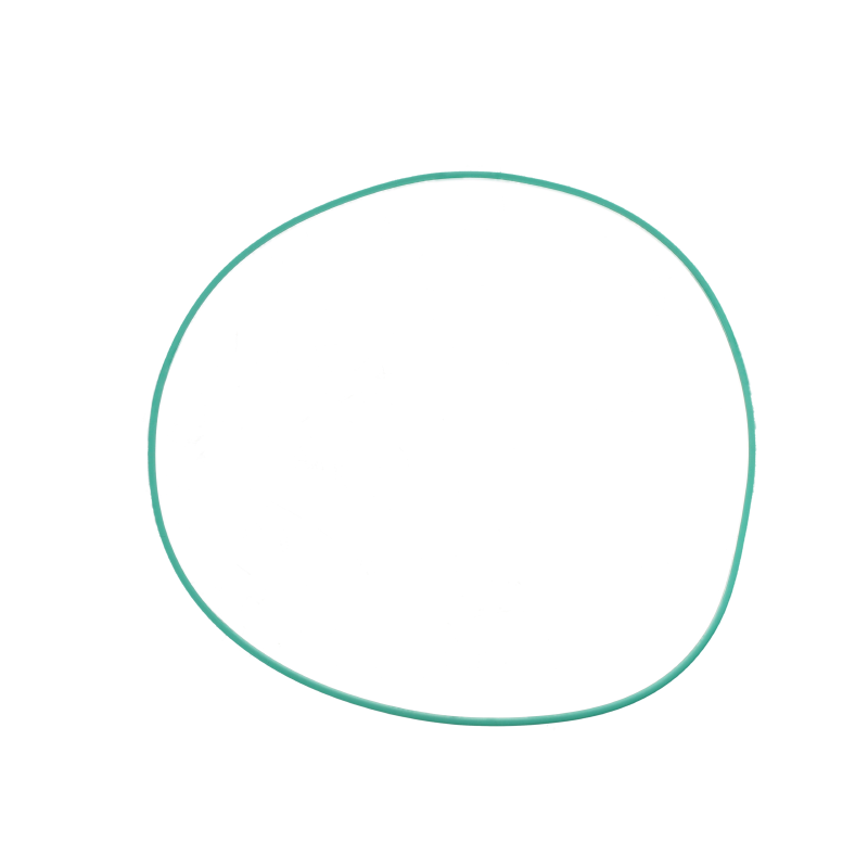 AGCO O-RING