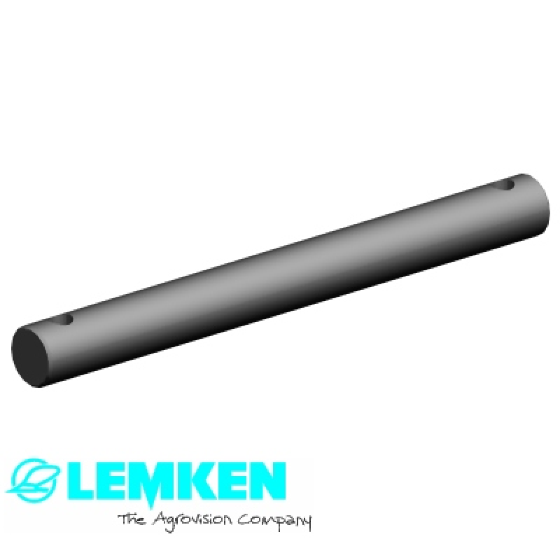 Bolzen D25x250 2xM12
