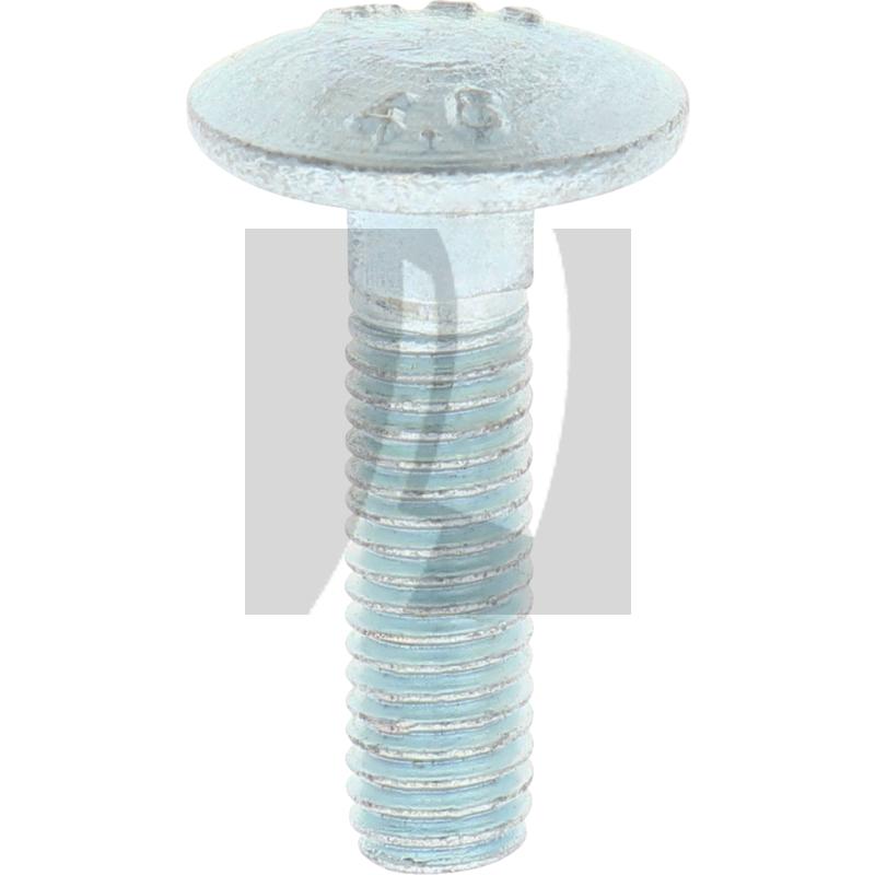 Schlossschraube M8x30 DIN 603, VPE 50