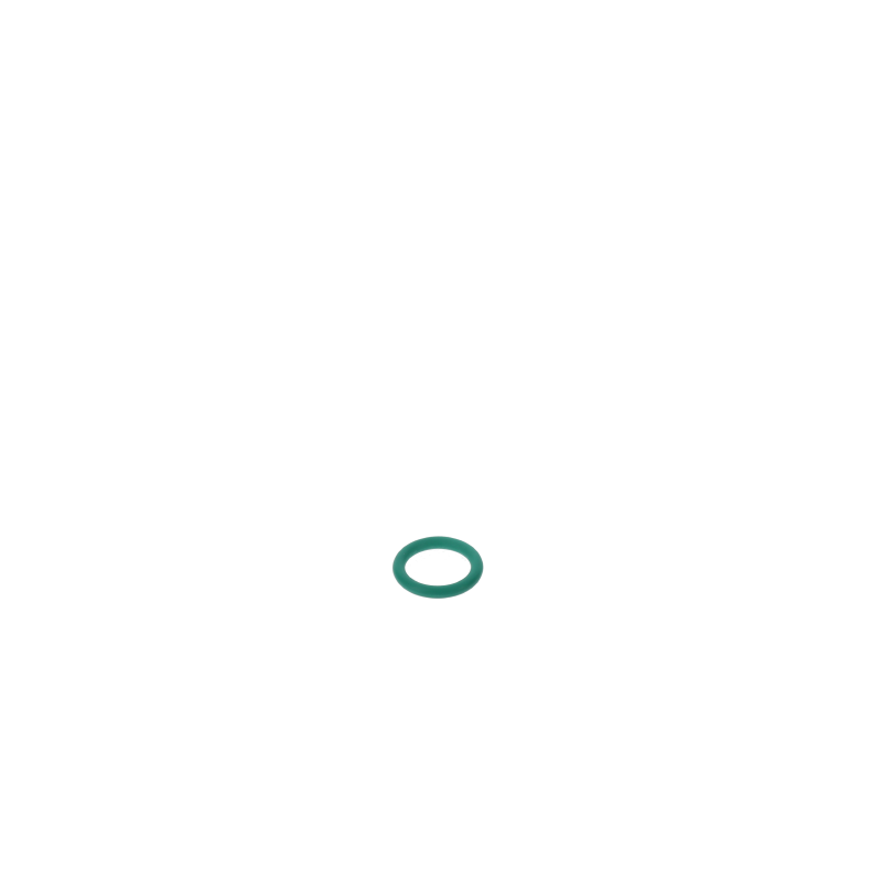 AGCO O-RING