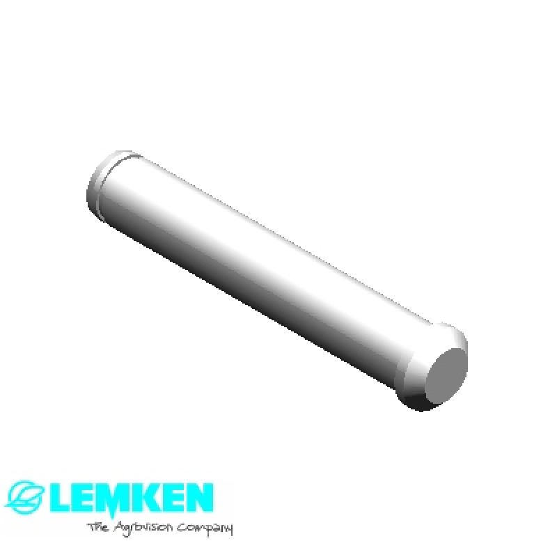 Bolzen mit Kopf D25/30x136/153
