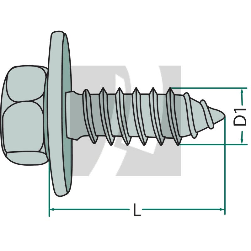 Blechschraube M6x19 DIN 6901, VPE 50