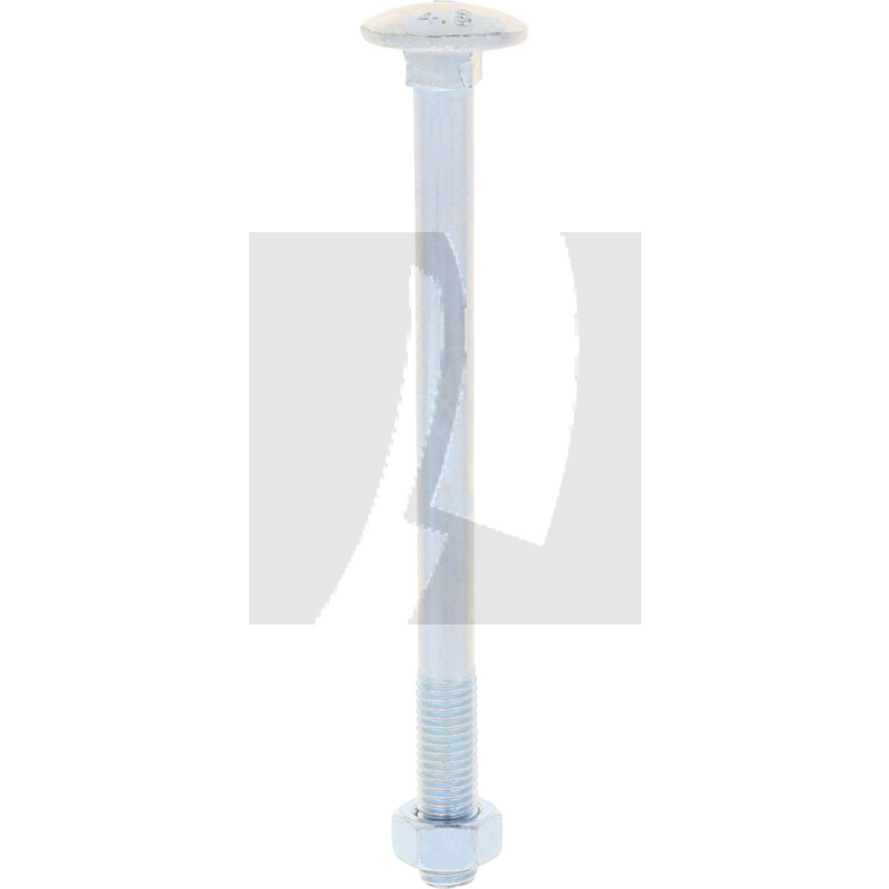 Schlossschraube M12x160 DIN 603, VPE 10