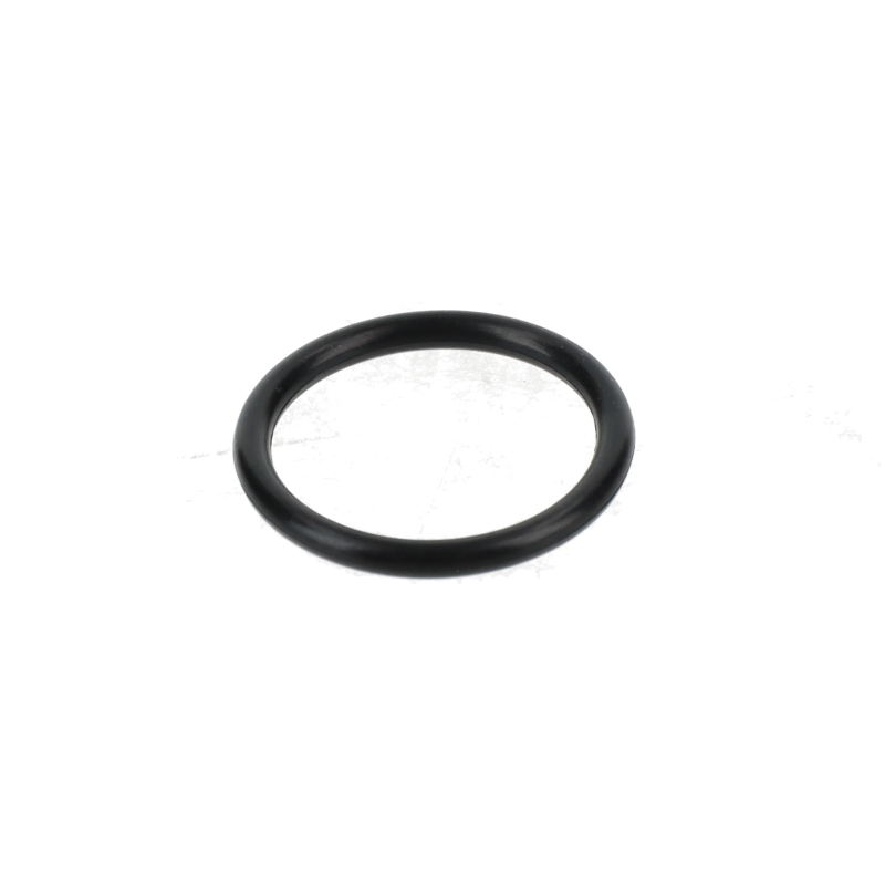 AGCO O-RING