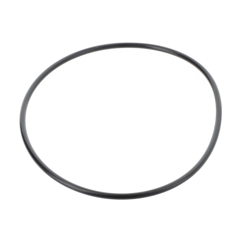 AGCO DICHTUNGSRING