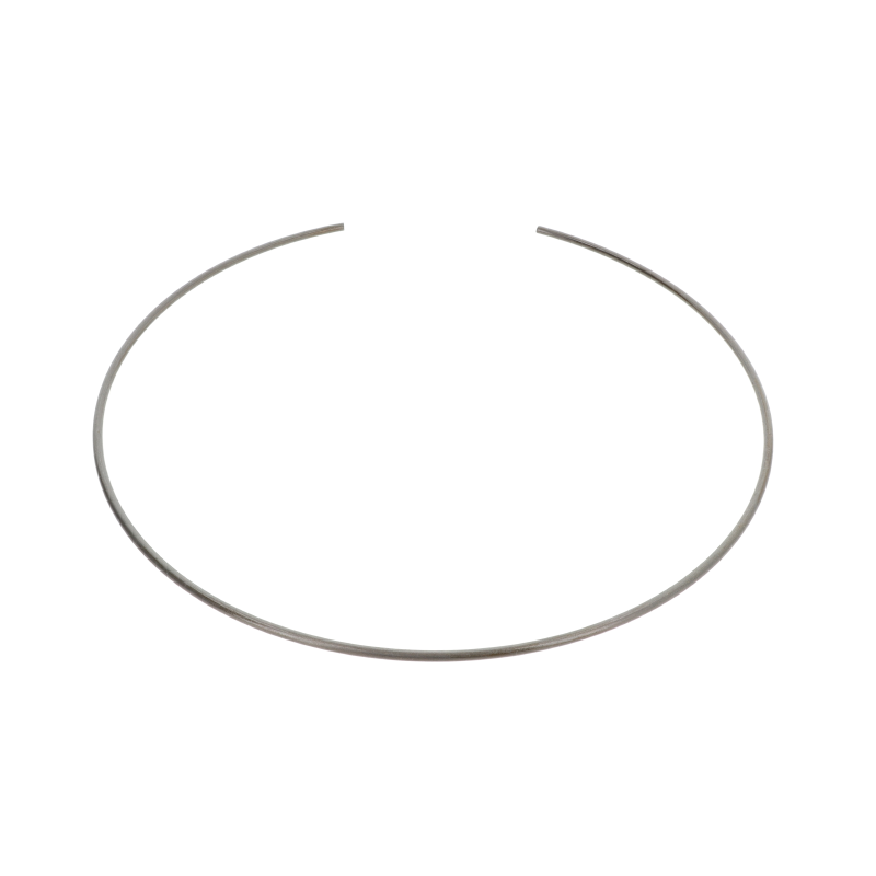 AGCO SICHERUNGSRING