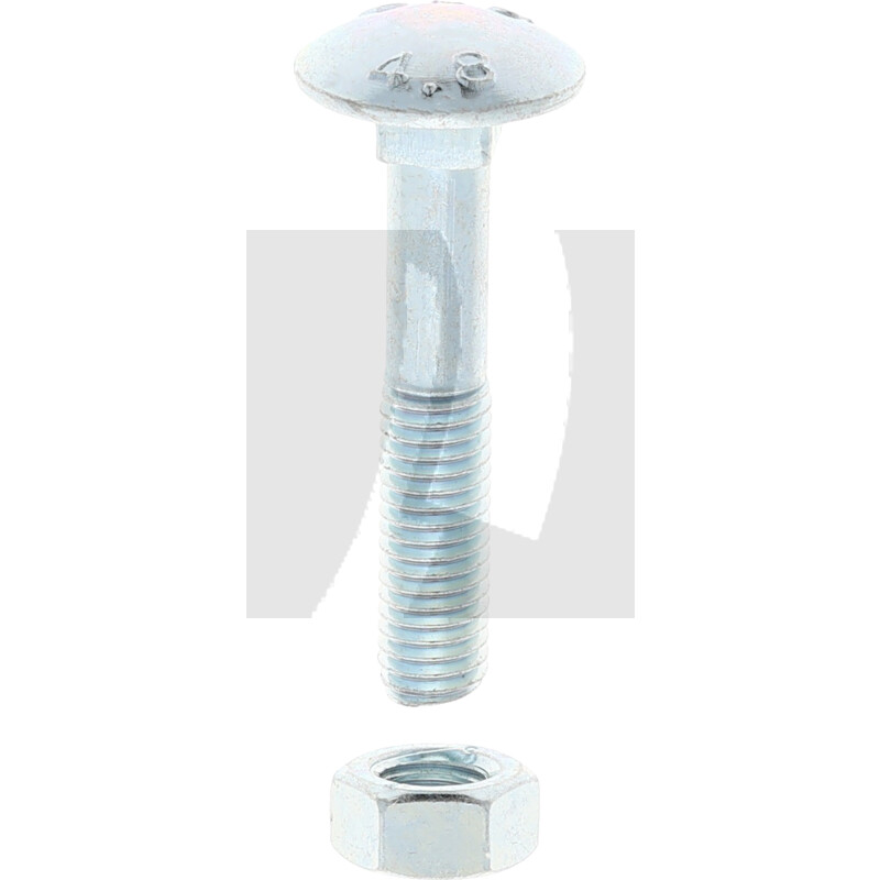 Schlossschraube M8x45 DIN 603, VPE 50