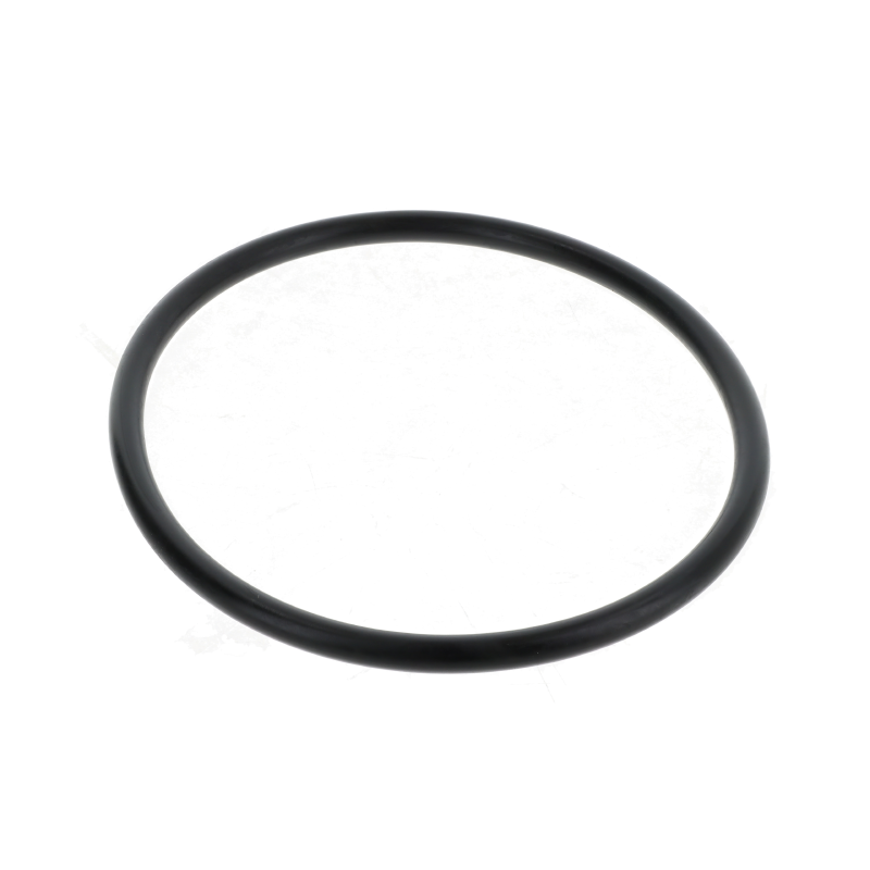 Fendt O-Ring