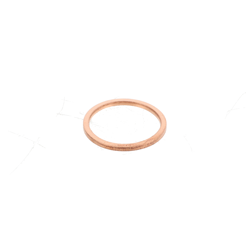 AGCO Dichtring AGCO Dichtring