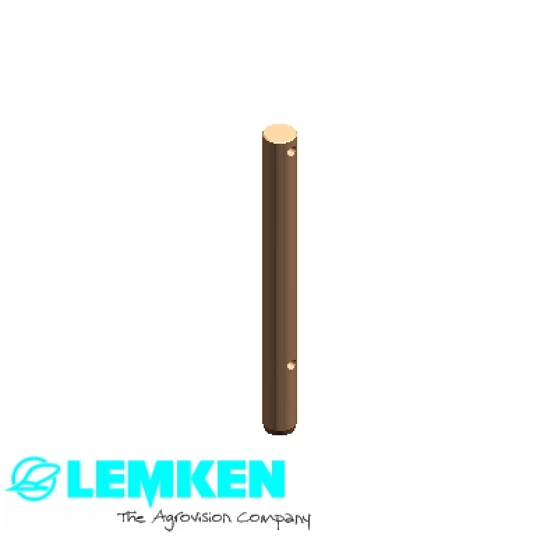 Bolzen D25x255 Zn