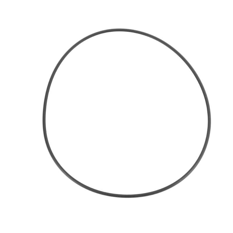AGCO O-RING