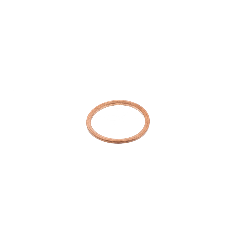 AGCO DICHTUNGSRING