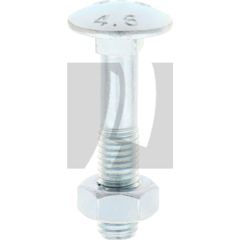 Schlossschraube M10x50 DIN 603, VPE 50