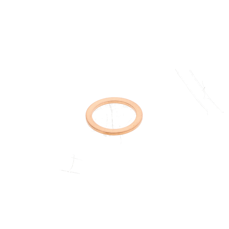 AGCO Dichtring